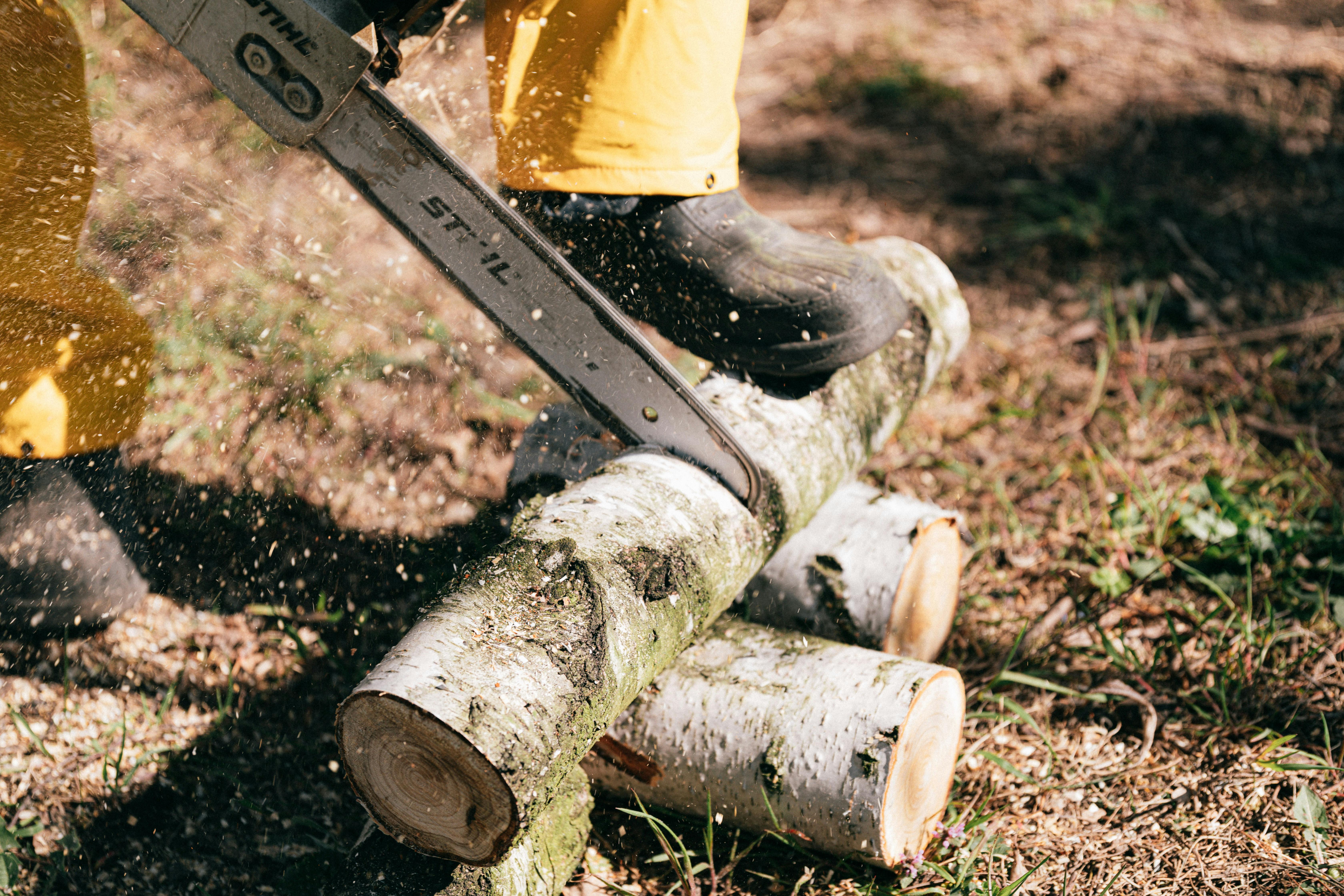 Stihl Akku Kettensäge in use