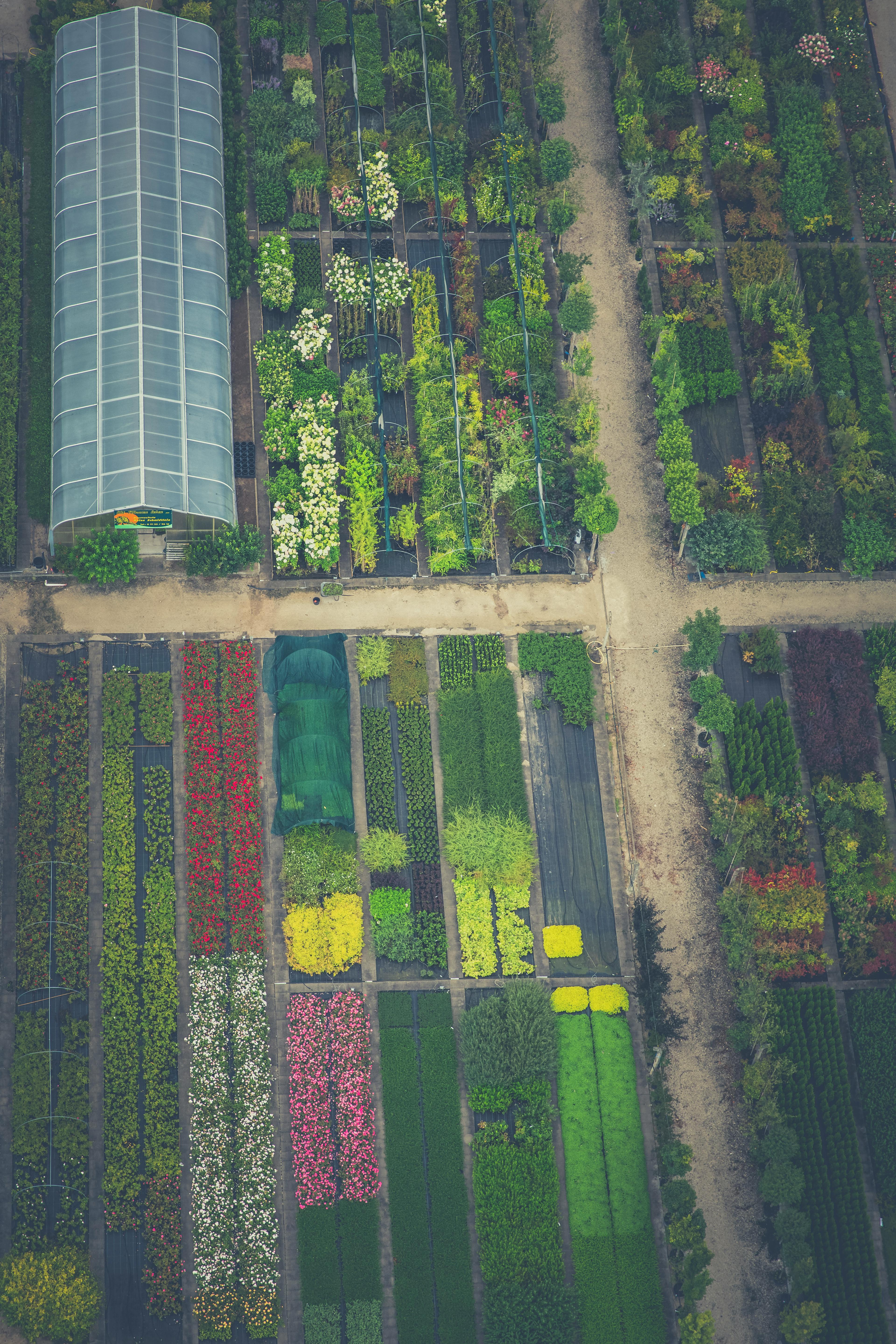 Beispiel für Gartenplanung