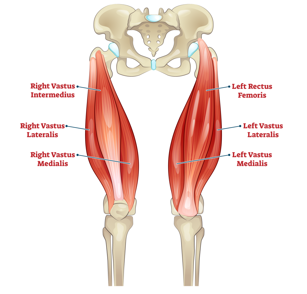 Vastus Medialis trainieren